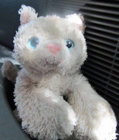 52 kitty