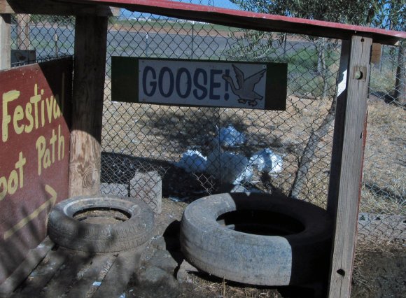 goose