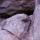 27 rock squirrel