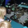 12 hannah urchin