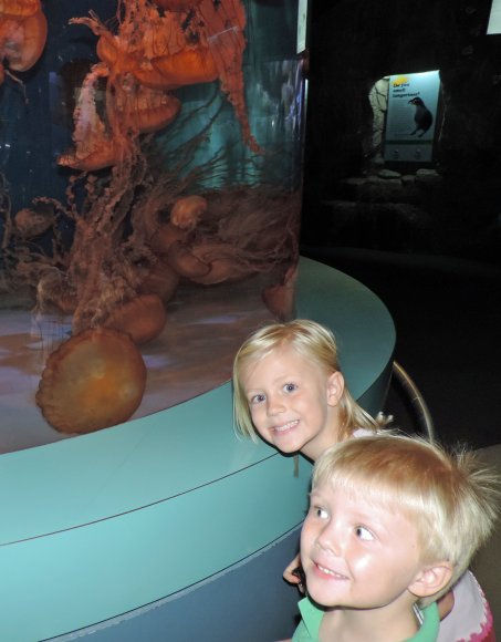 33 hannah benjamin big jellies
