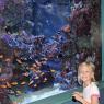 41 nemo tank hannah