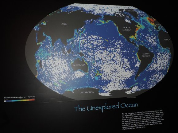 48 ocean