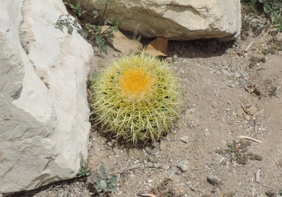 05
