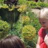heart hannah