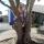 01 hannah2