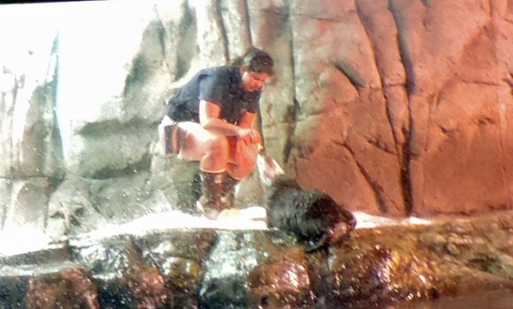 53 otter