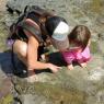06 kim devan hermit crab2