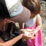 06 kim devan hermit crab