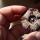 07 urchin (2)