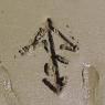 19 arrow