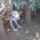 30 star wars endor
