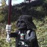 40 darth