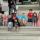 01 group