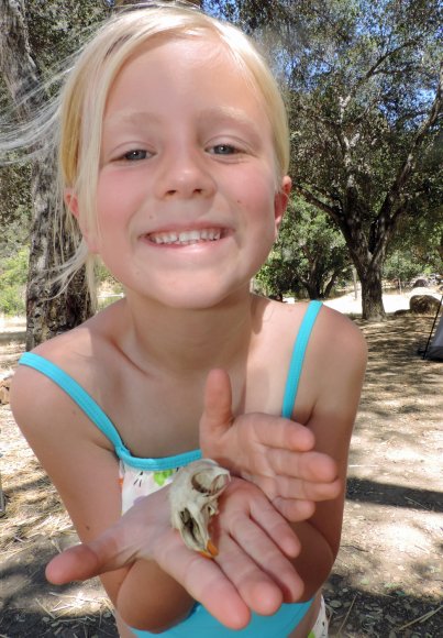 13 hannah squirrel skull