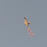 03 kite