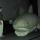 08 great white