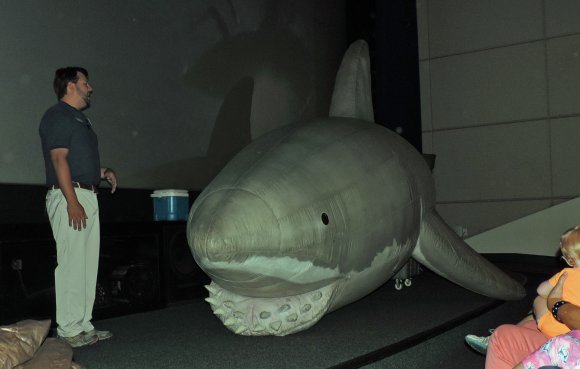 08 great white