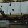 bats2