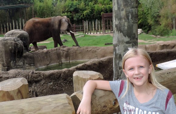 16 elephant hannah