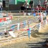 17 pig race