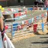 18 pig race2
