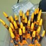 21 rockets are ready