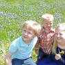 03 bluebonnets