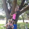04 tree