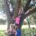 04 tree