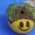ranger kids chia