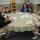 table (3)
