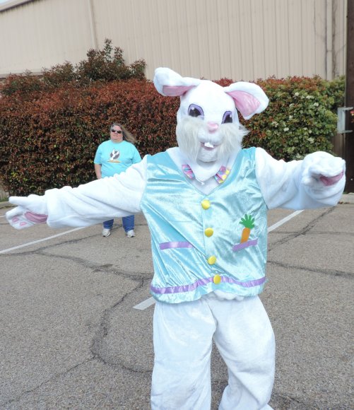 bunny (2)