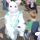 bunny joel