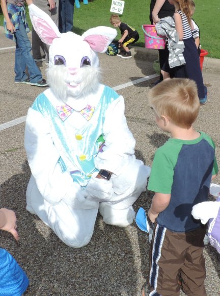 bunny joel