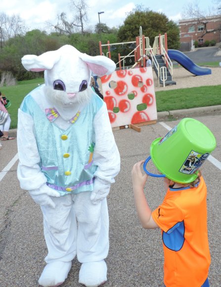 bunny tristian