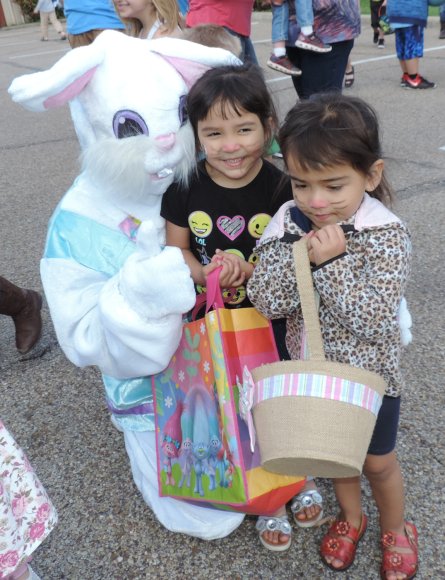 bunny