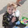 eggs brayden