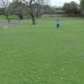 hunt field