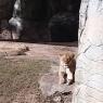 11 zoo