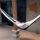 hammock joel