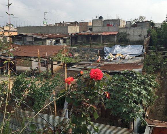 roof3