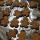 ginger bread men