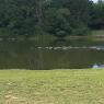 park (6)