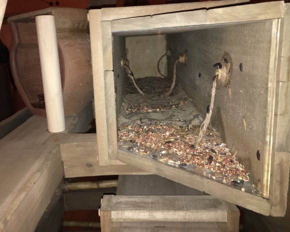 09