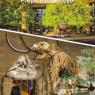 3 creation