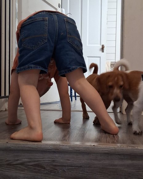 my BUTT