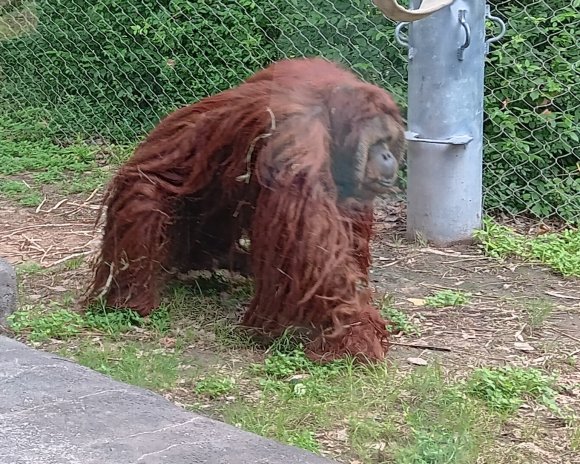20250605_092944