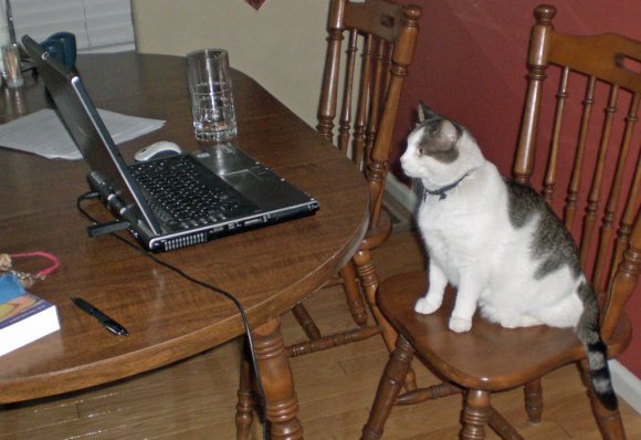 gandalf at the computer
