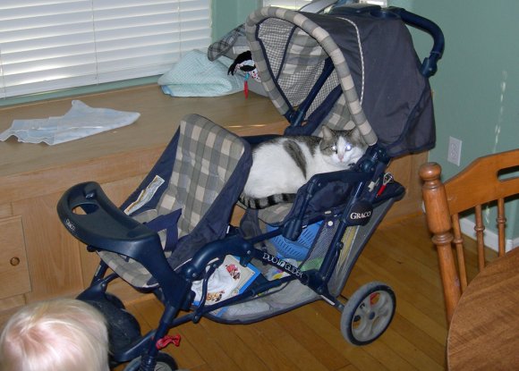 gandalf stroller